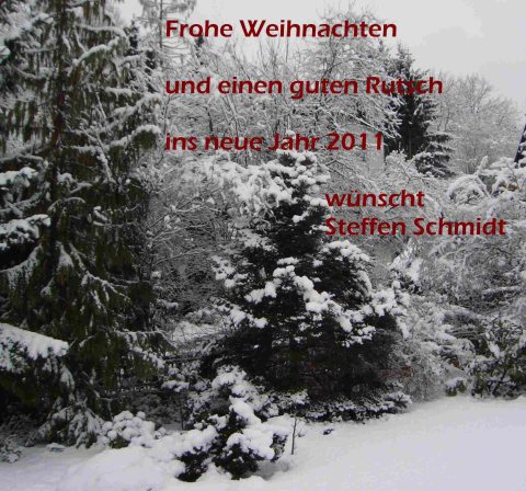 Weihnachtsgruß 2010