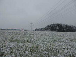 IMG_5840