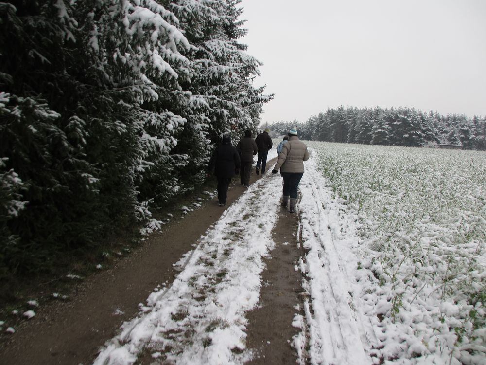 Neujahrsspaziergang