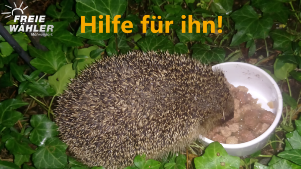 SCHUTZ UND HILFE FÜR DAS WILDTIER IGEL